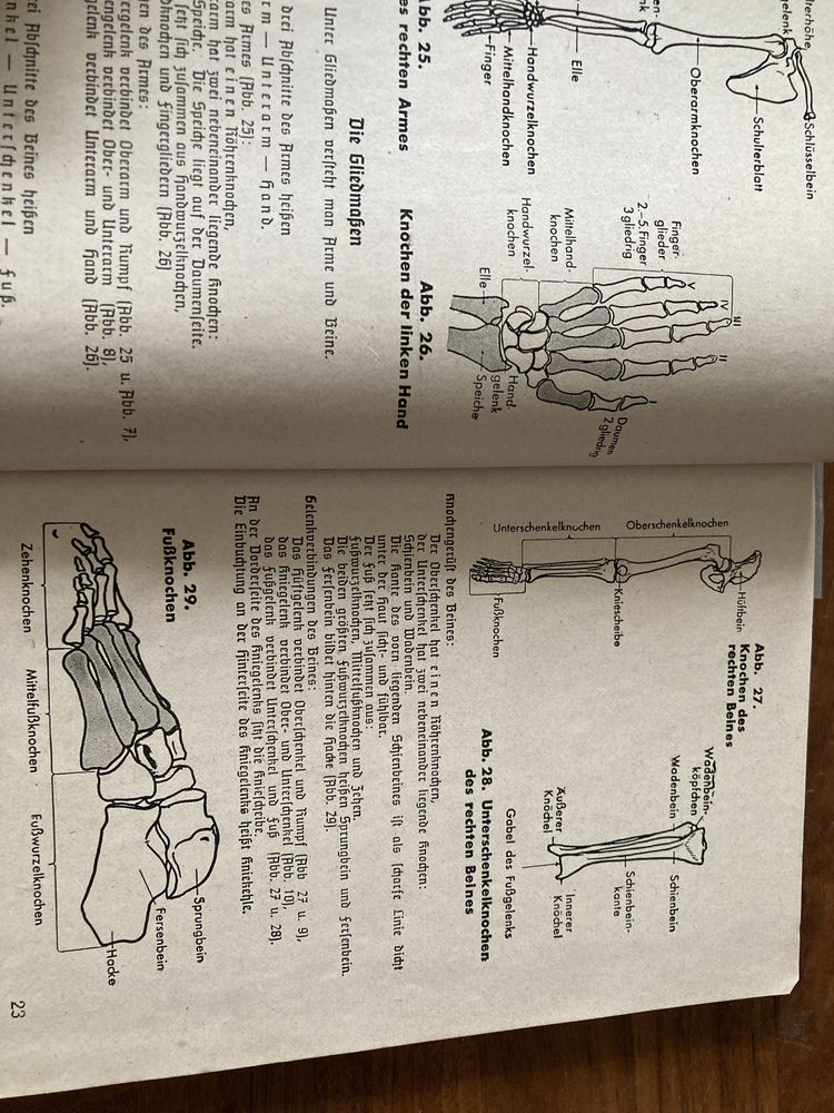 Amtliches Unterrichtsbuch über Erste Hilfe