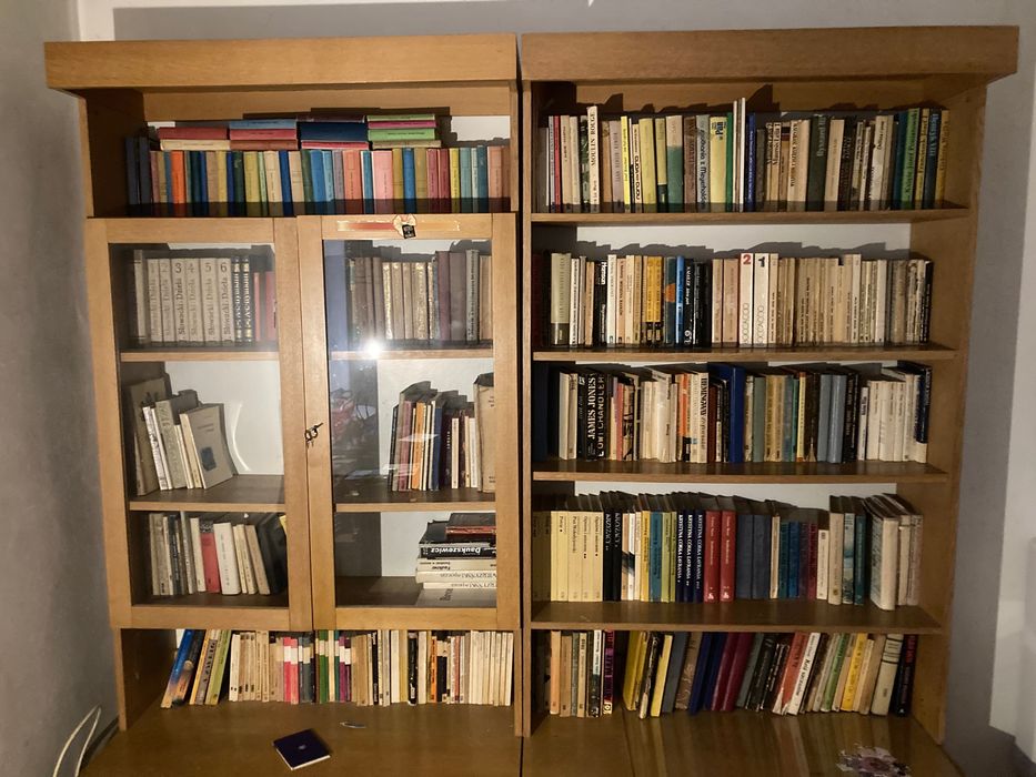 Dużo książek - klasyka i lektury