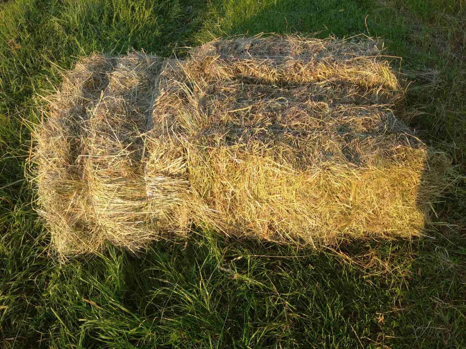 Тюки соломи .Цього річні 100 шт