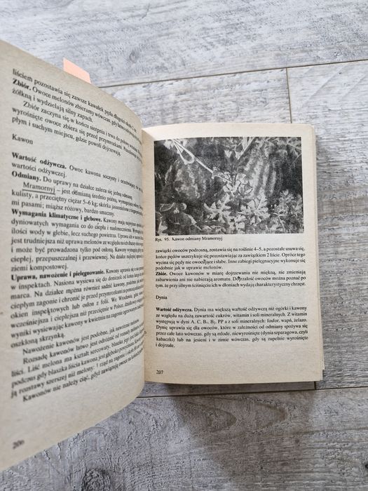 A3734. "Działka moje hobby" Praca zbiorowa