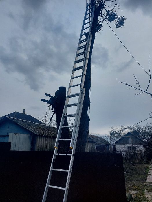 Бетономішалка, тура вишка, вагончик. Професійна алюмінема драбина