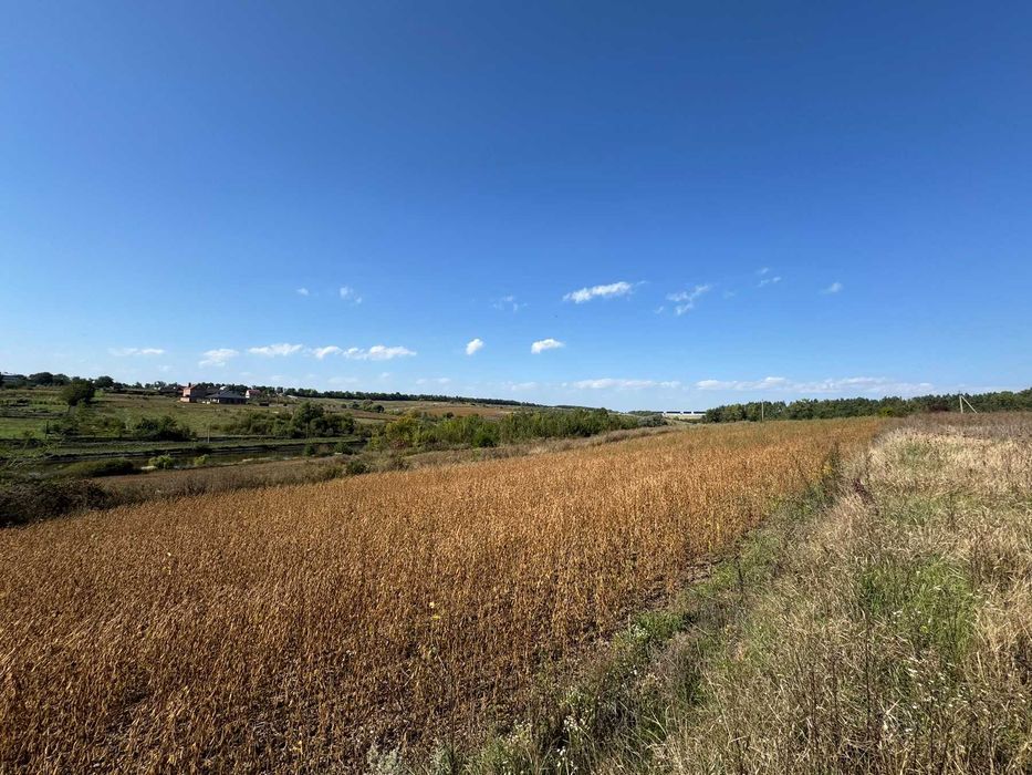 Земельна ділянка під забудову село Ружичанка