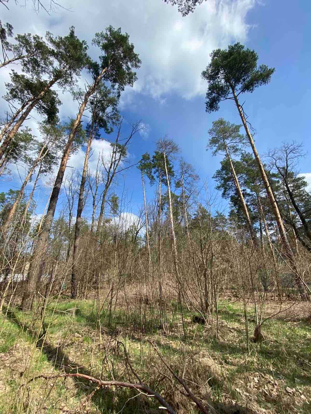 затишний будиночок в зеленому Ворзелі - доступна ціна