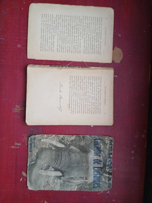 João Teixeira de Vasconcelos, Memórias de um Caçador de Elefantes