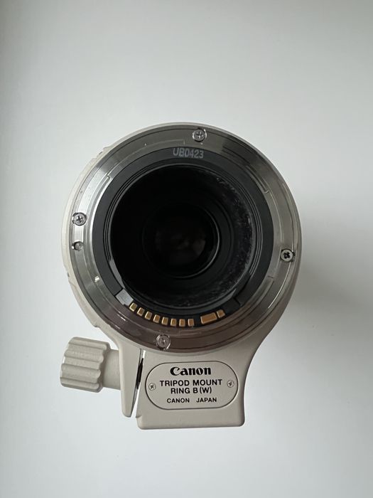 Обʼєктив Canon EF 100-400 f4.5 - 5.6 L.