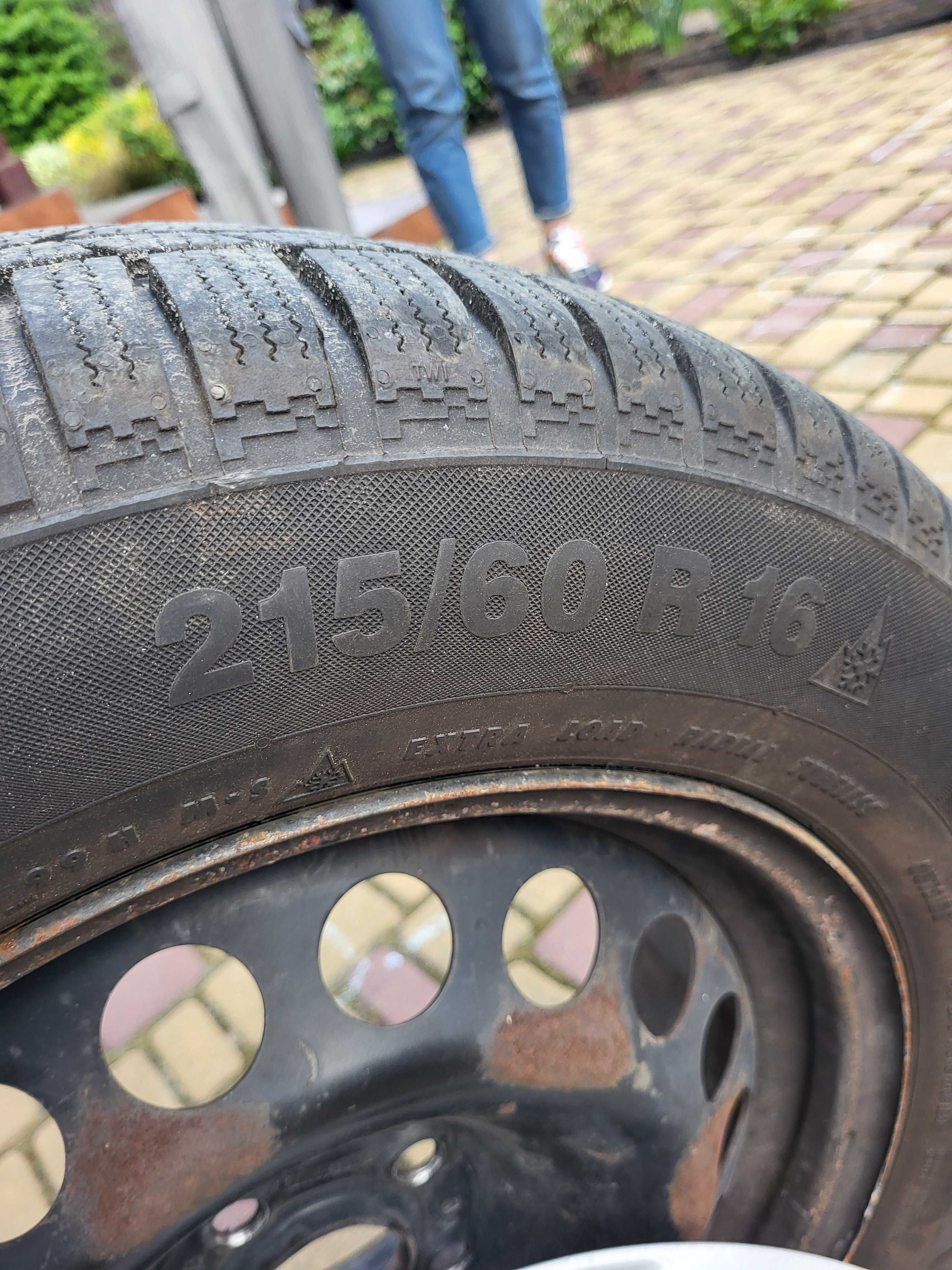 Continental ContiWinterContact TS830P 215/60 R16, зима 2021 рік