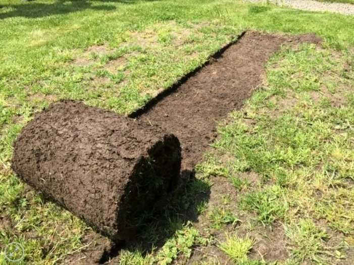 Wypożyczalnia Wycinarka do darni trawy napęd:4x4 szer:39cm  Wynajem