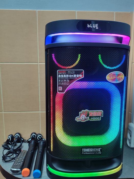 Акустика акумуляторна Temeisheng TMD-10291