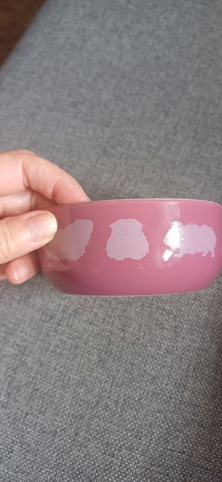 Trixie miseczka dla gryzoni