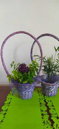 Koszyki fioletowe z wikliny