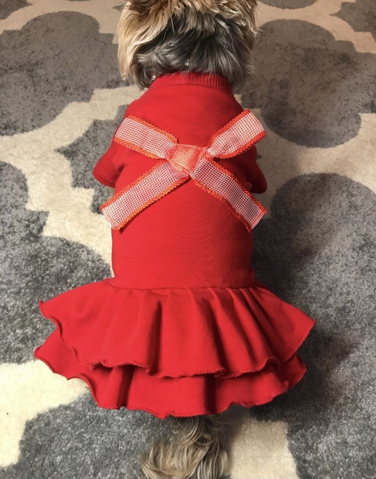 Sliczna sukienka ubranko dla psa typu york chihuahua XS S