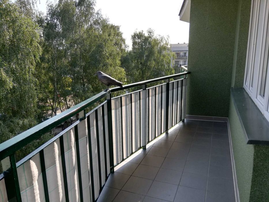 Mieszkanie do wynajęcia