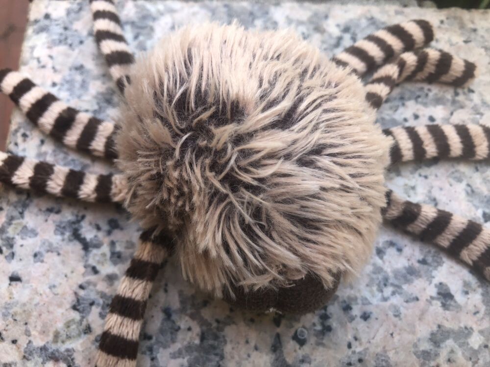 Aranha nici