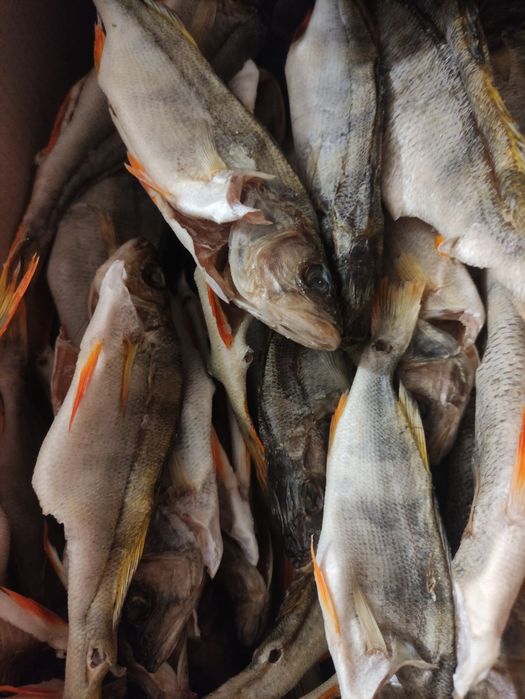 Окунь в'ялений патраний