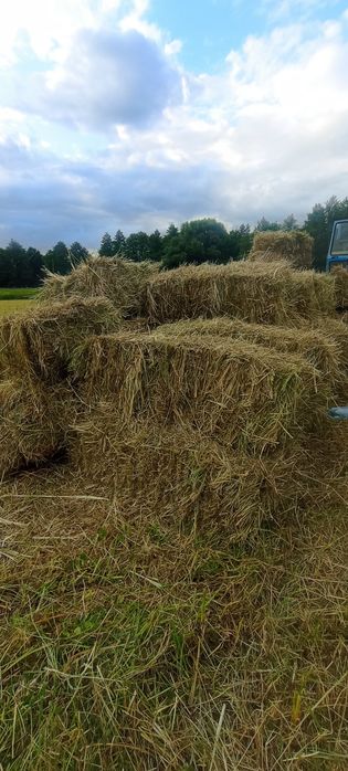 Продам сіно в тюках