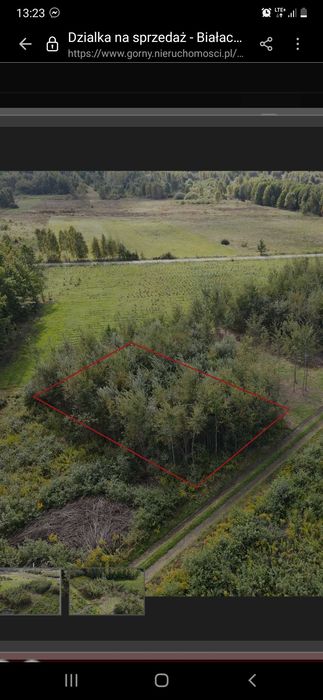 Działka budowlana na sprzedaż zakrzów Białaczów