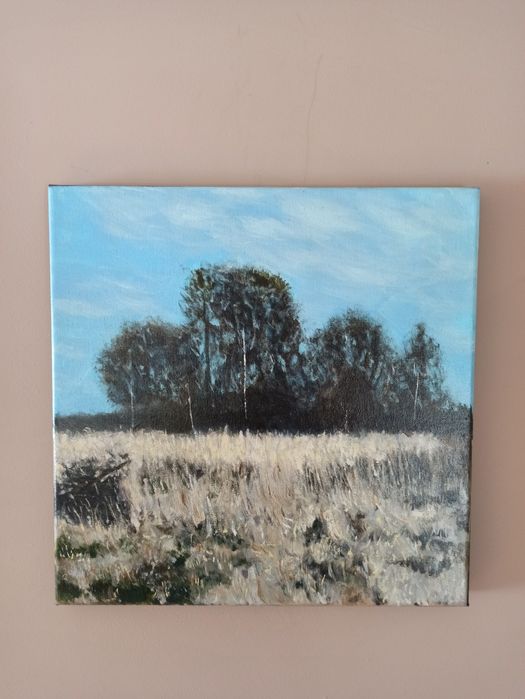 Obraz akrylowy Zima 30x30