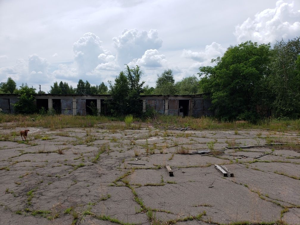 Продається виробниче приміщення  с. Серби