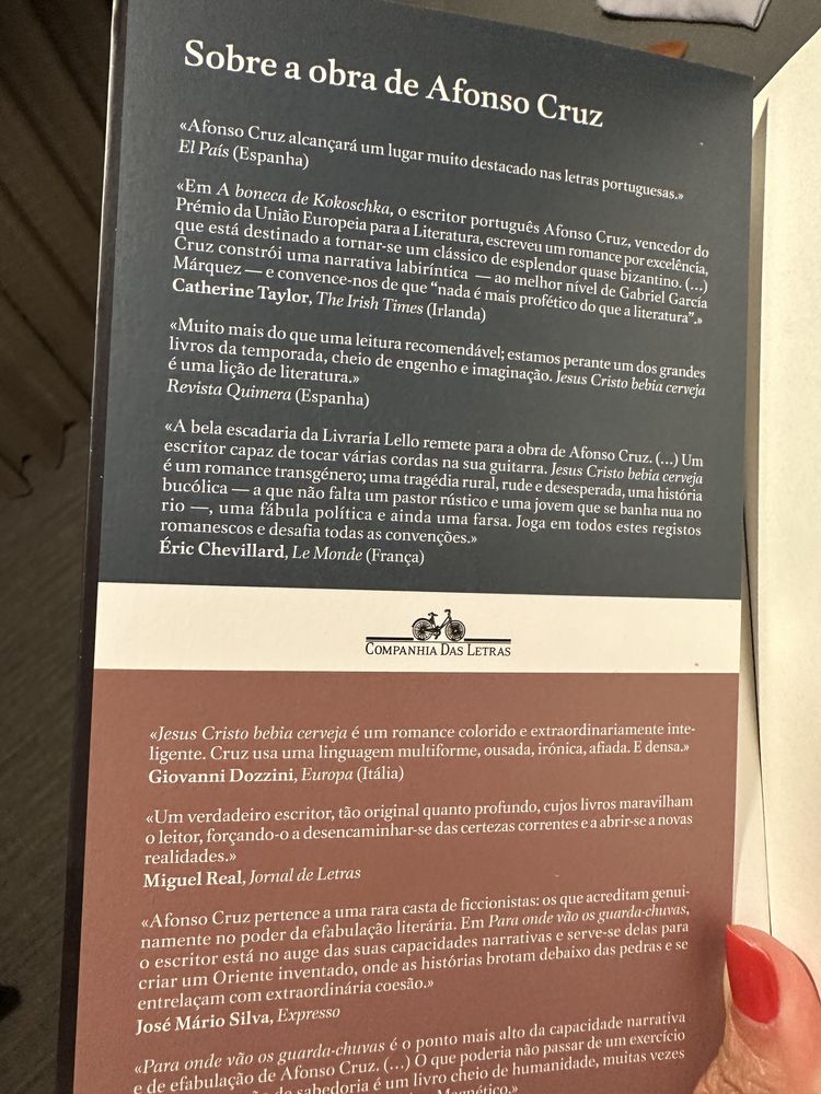Livro O que a chama iluminou de Afonso Cruz