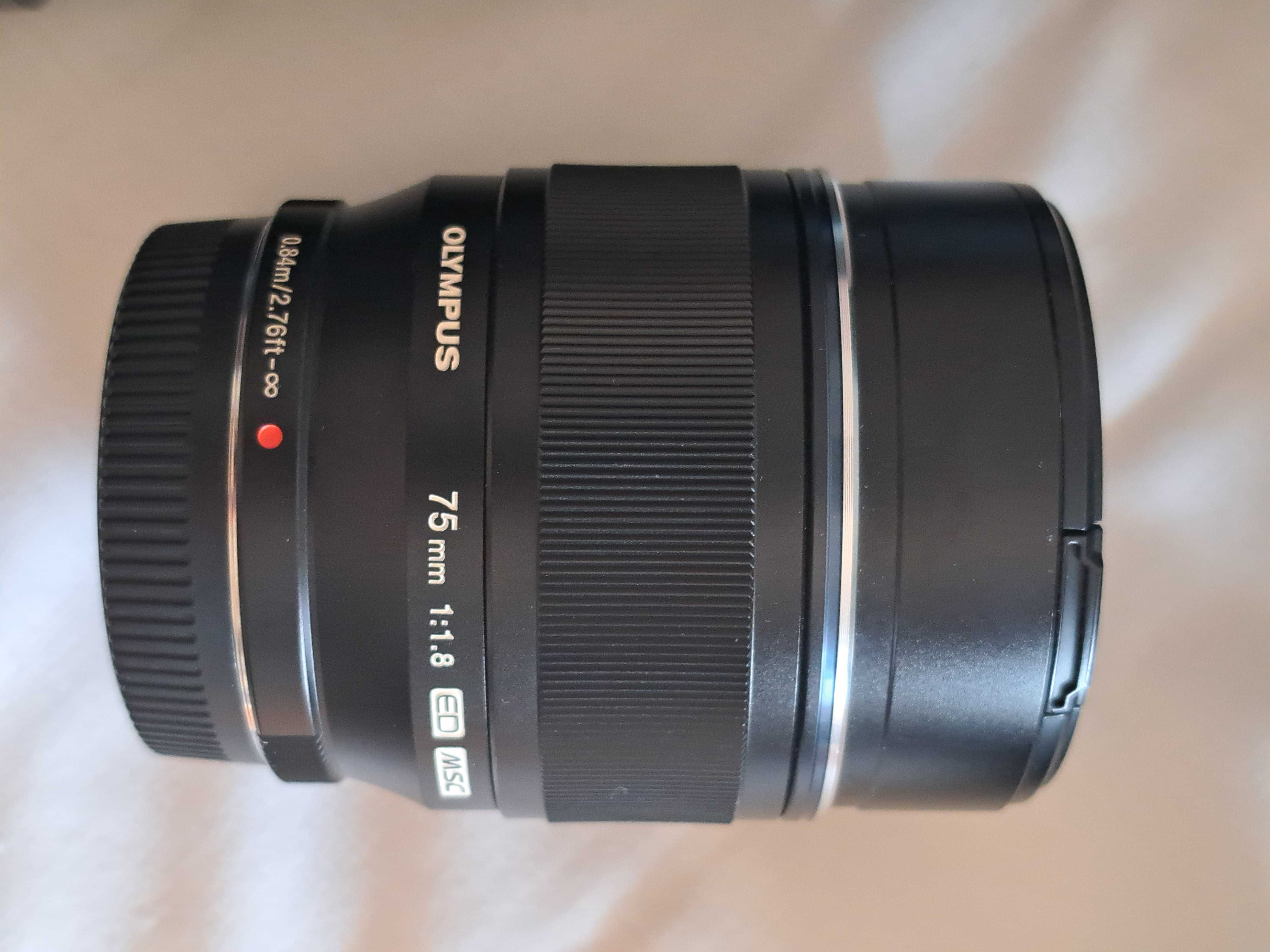Panasonic Lumix G M43 - Conjunto de 2 câmeras, 6 lentes, SDCard, tripé