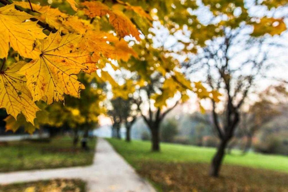 Zator – Wynajem Blisko Energylandii | Idealne Miejsce na Wypoczynek!