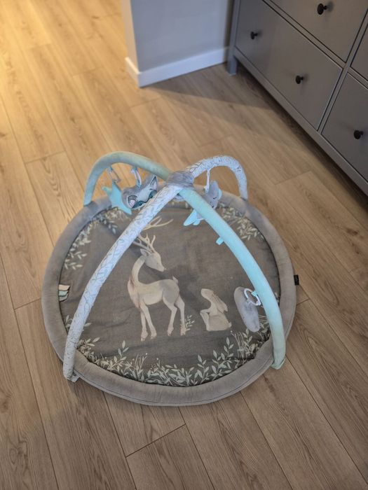 Mata edukacyjna – BabySteps