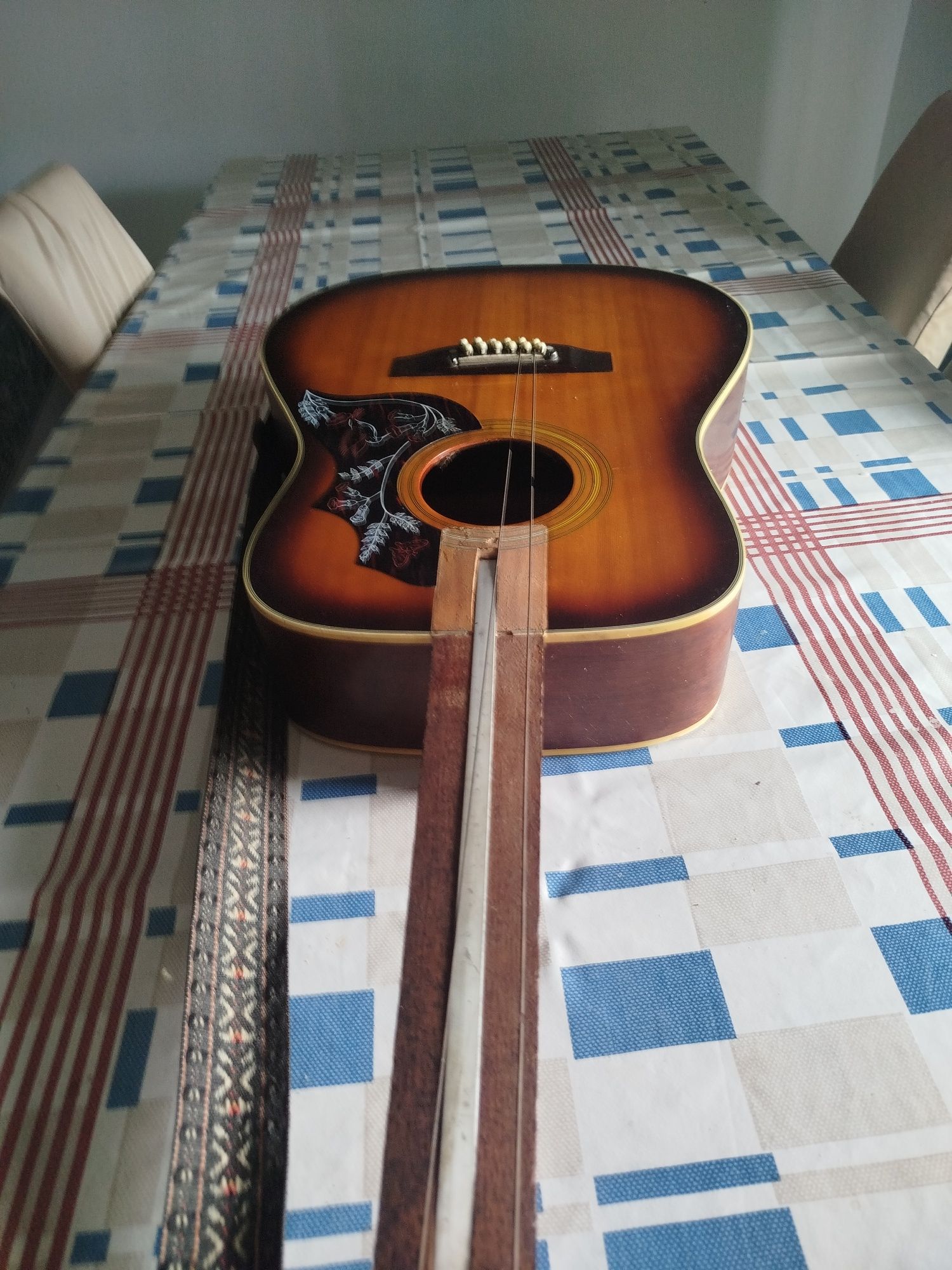 Viola acústica de 12 cordas