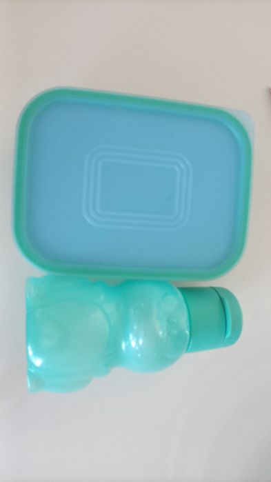 Conjunto Tupperware Infantil – Garrafa + Caixa Dinossauros