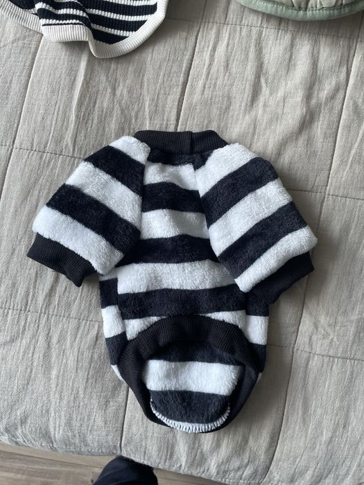 Маленький собачий одяг