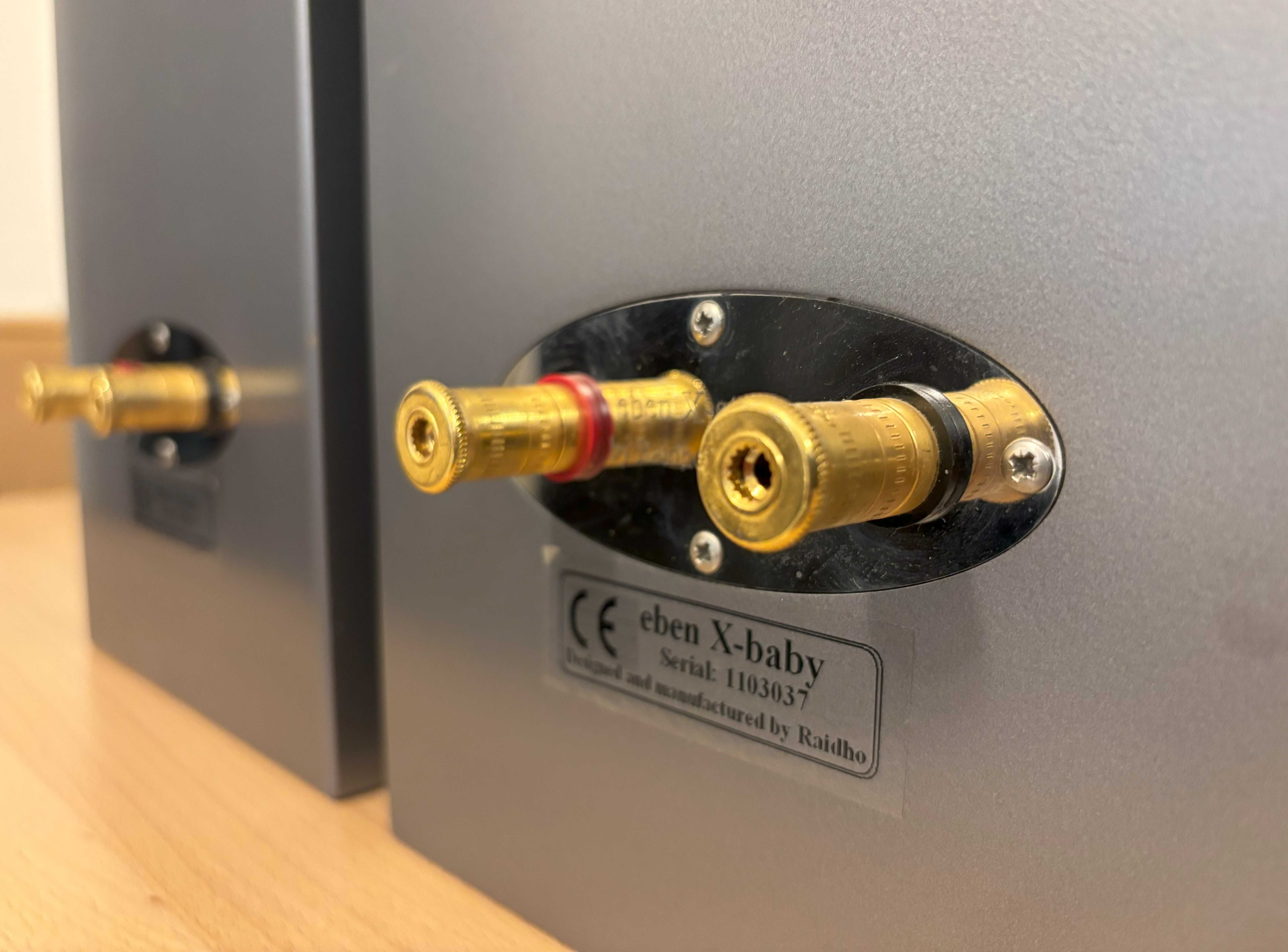 Kolumny podstawkowe/monitory Raidho Acoustics Eben X- Baby