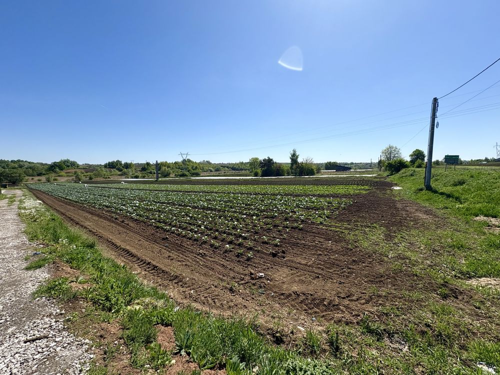 Działka budowlana 57 ar – Proszowice