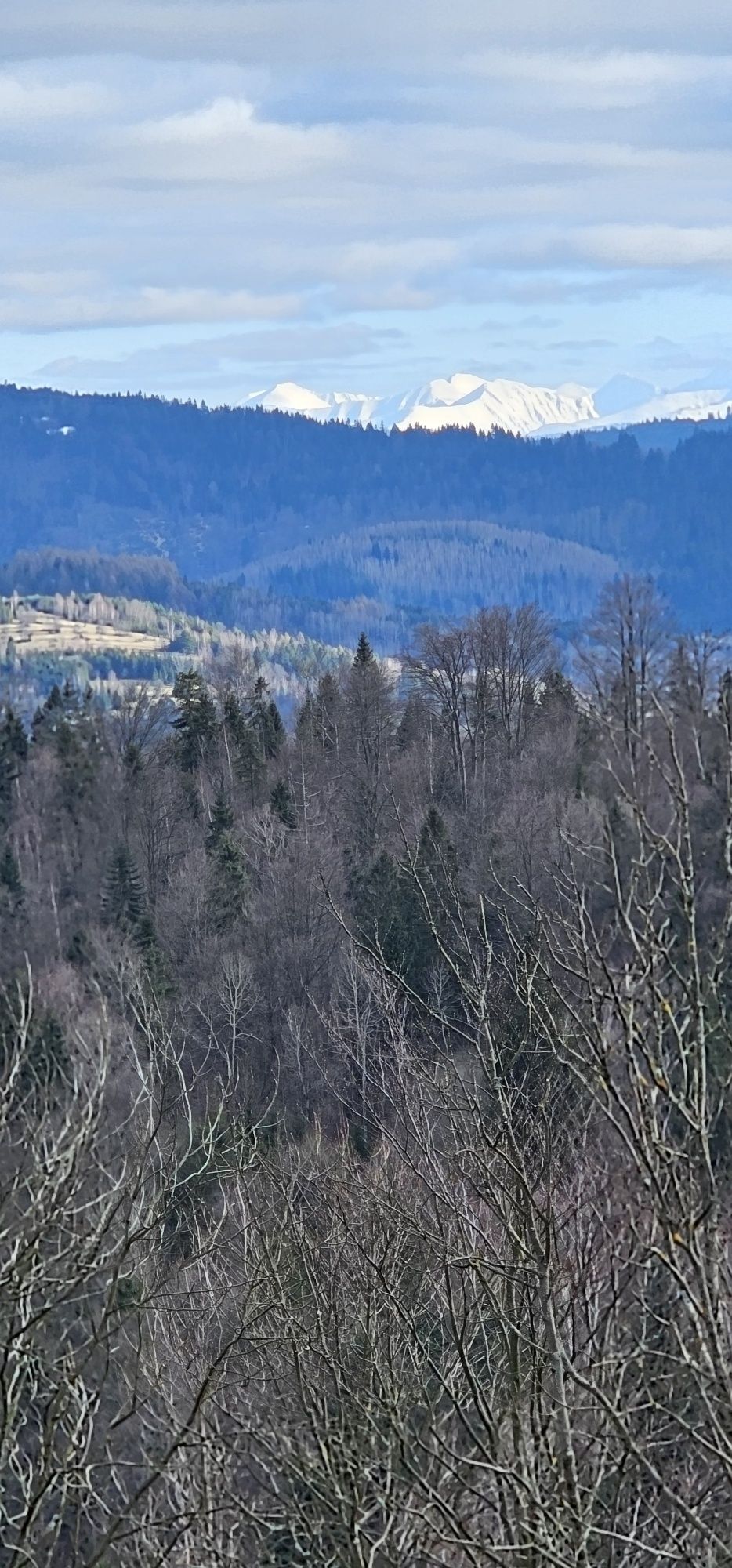 Domek w górach do wynajęcia z tarasem widokowym - Beskid Żywiecki