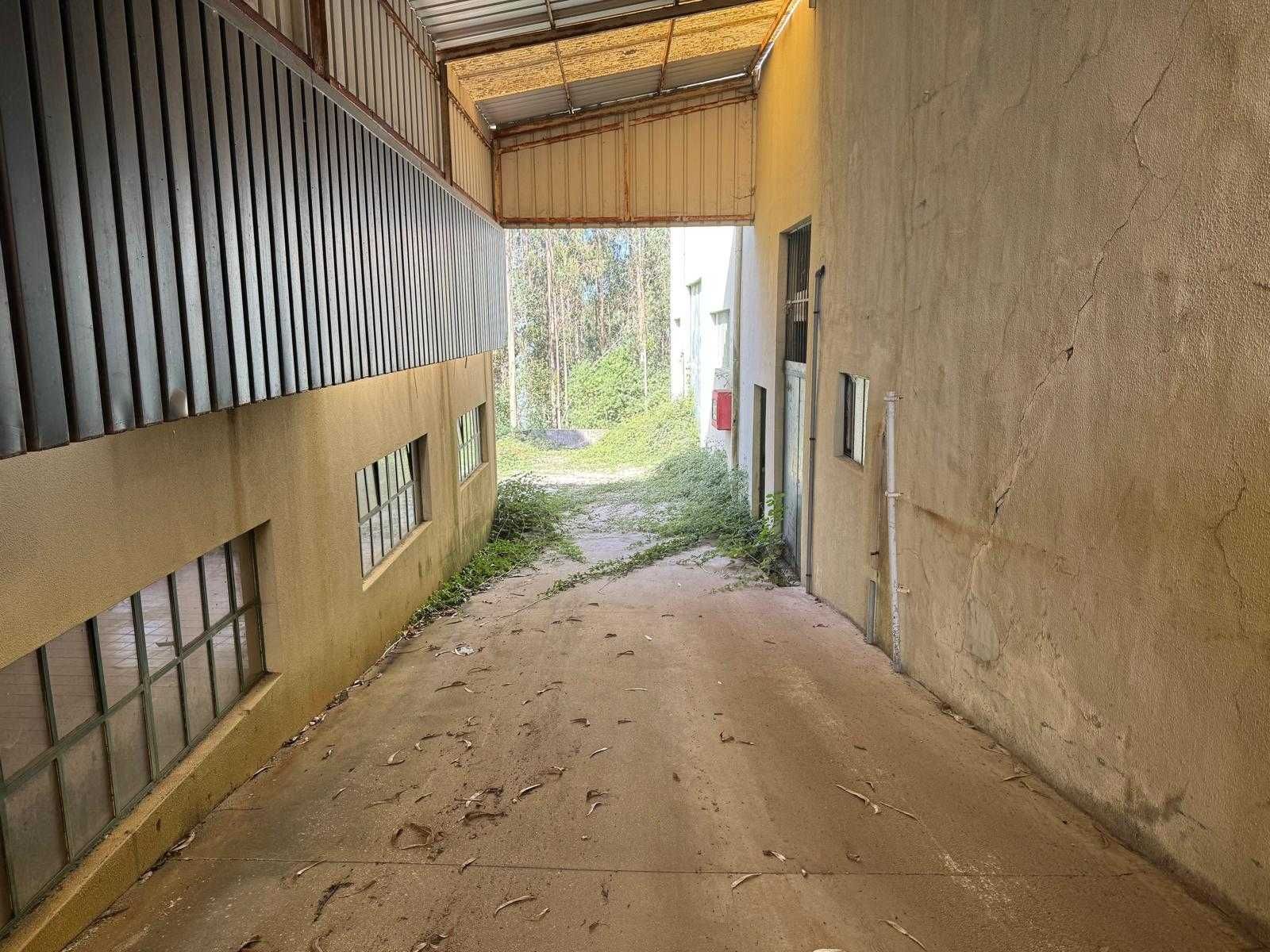 Armazém em São Martinho da Gândara para Arrendamento