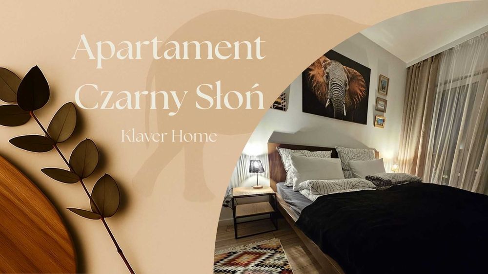 Apartament Czarny Słoń z parkingiem - noclegi w Częstochowie