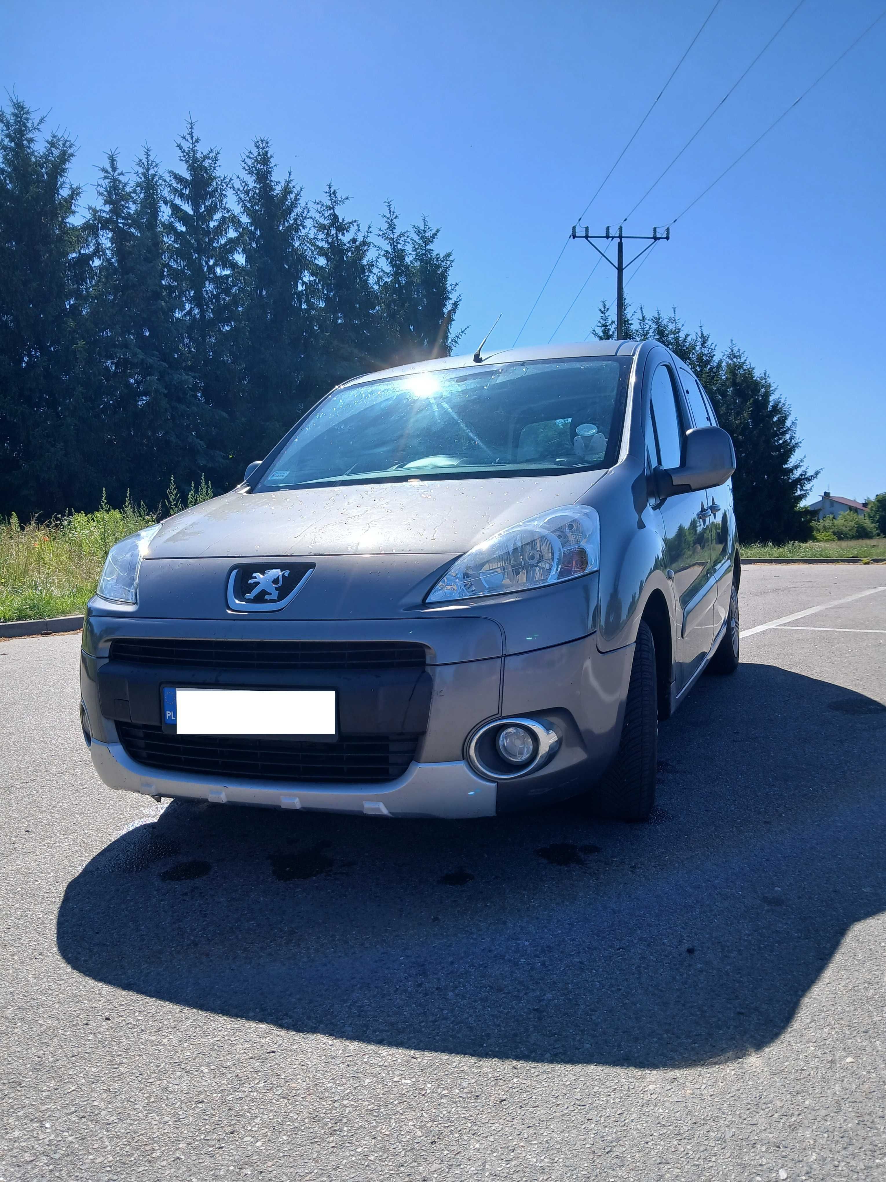Peugeot Partner 2010 1.6 HDI ( bez DPF i  dwumasy)