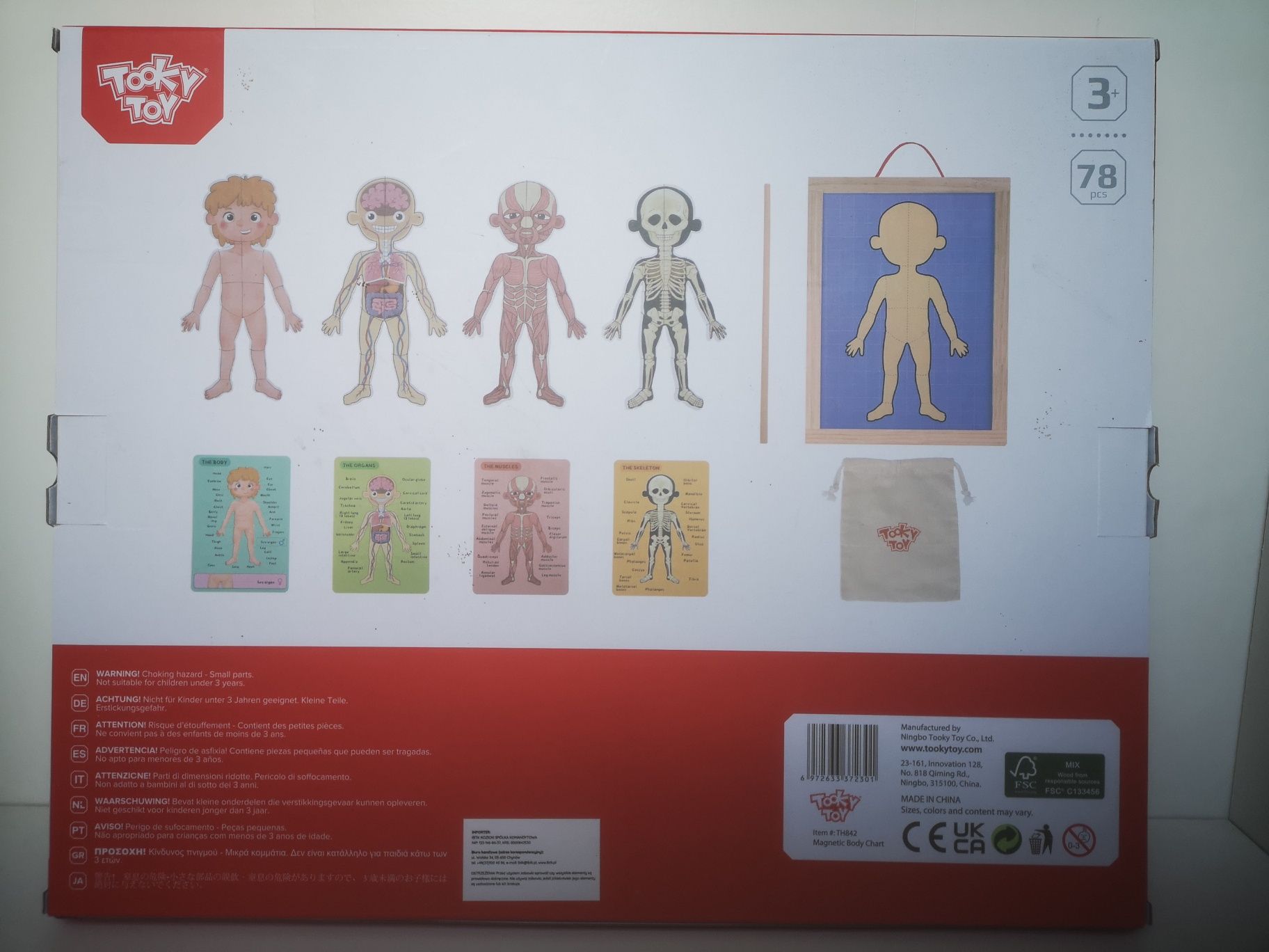 Puzzle magnetyczne Nauka Anatomii Ciało Człowieka, Tooky Toy