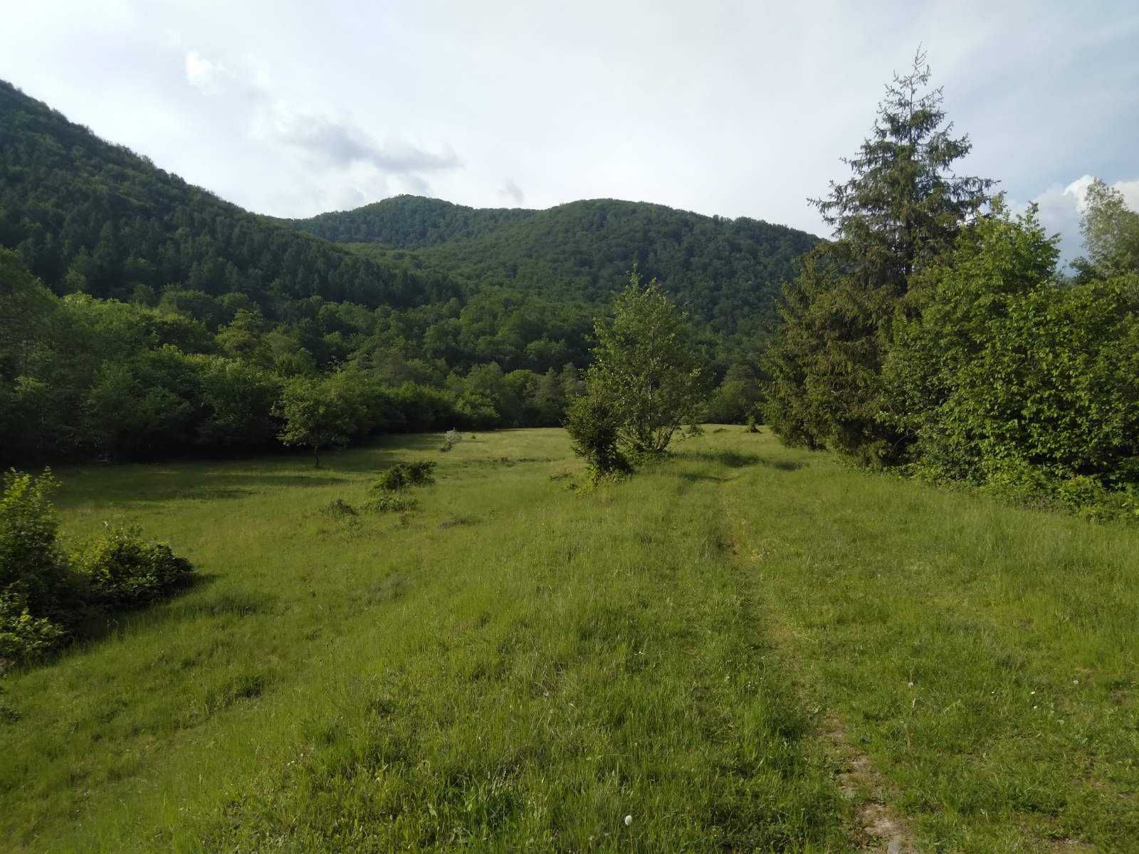 Продаємо ділянку під форельник  Турья Поляна