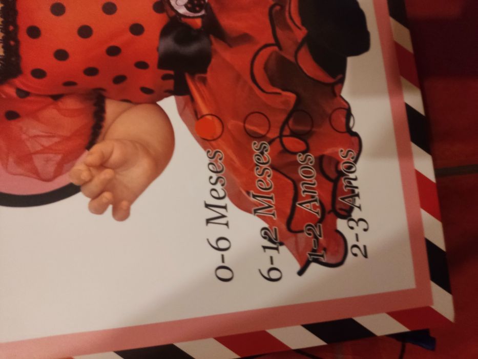 Disfarce de criança joaninha