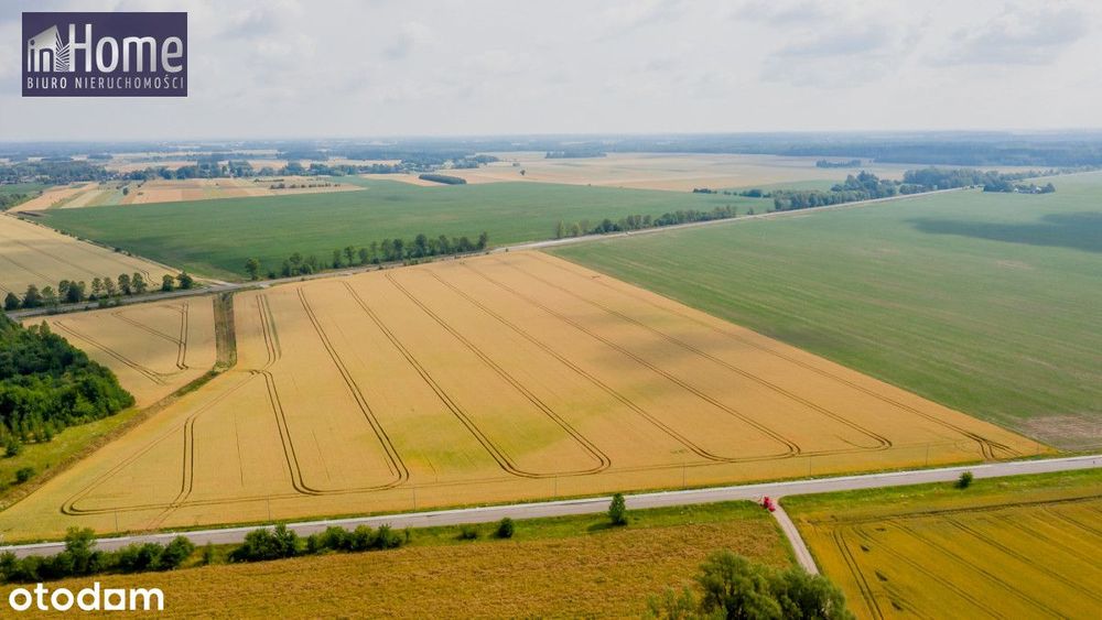 Działka inwestycyjna Bielsk Podlaski - 71500 m2!