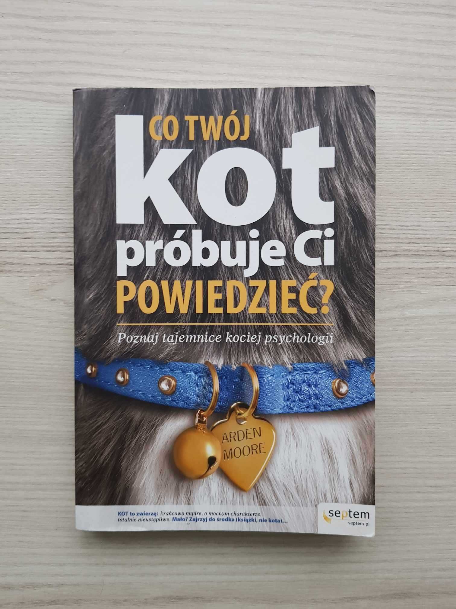 Co Twój kot próbuje Ci powiedzieć? Poznaj tajemnice kociej psychologii