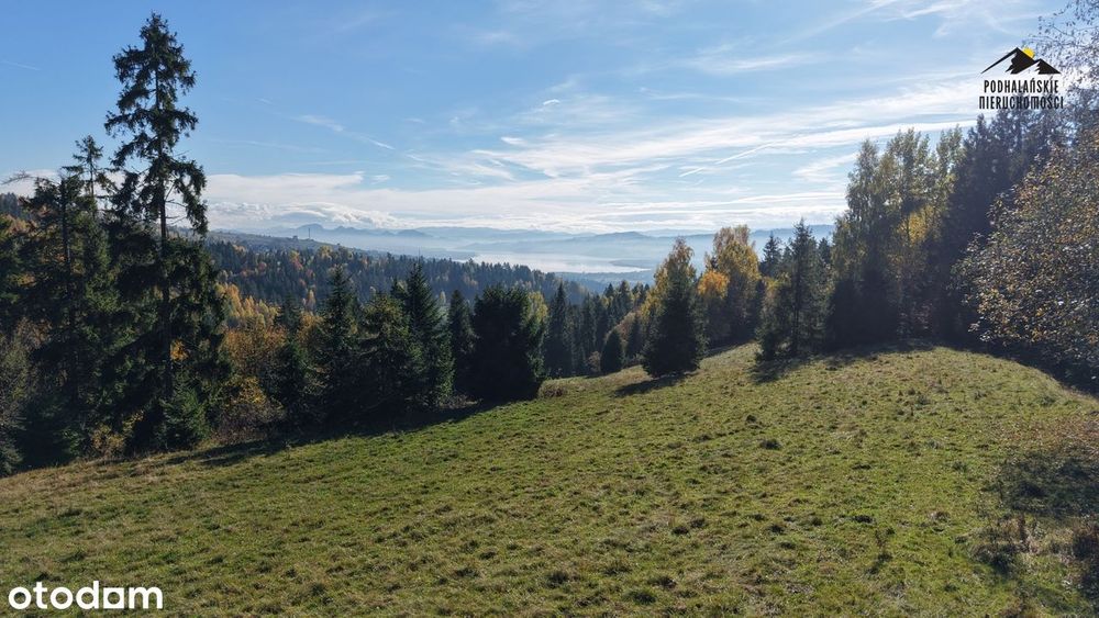 Widokowa polana w Gorcach