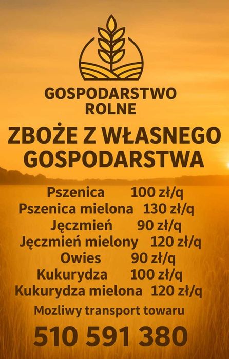 Pszenica dla kur bojlerów pasza zboże transport