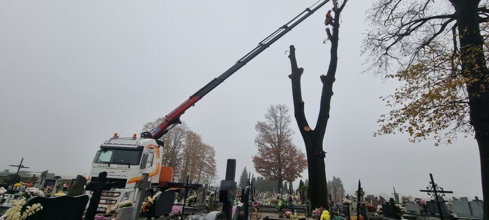 Usługi transportowe transport  HDS dźwig , montaż konter ładowarka