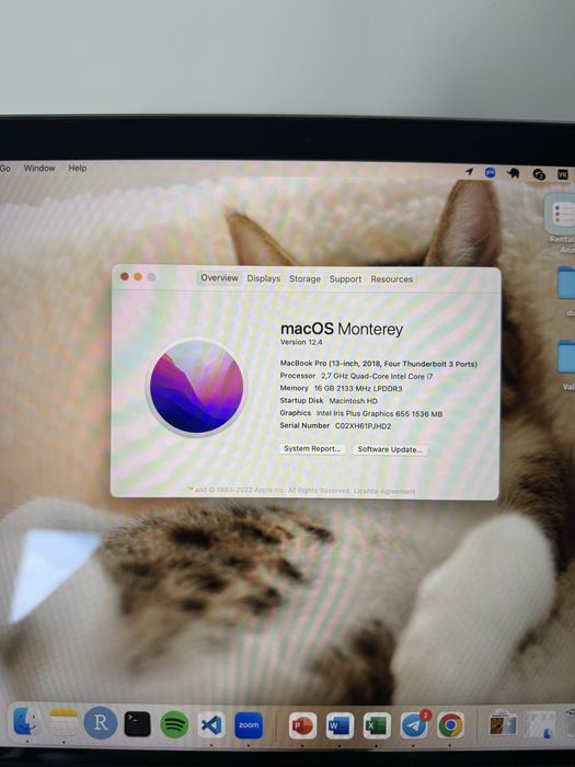 Apple MacBook Pro A1989 16GB 13-inch 2018