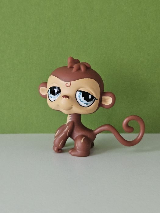 Małpka lps, niebieskie oczy