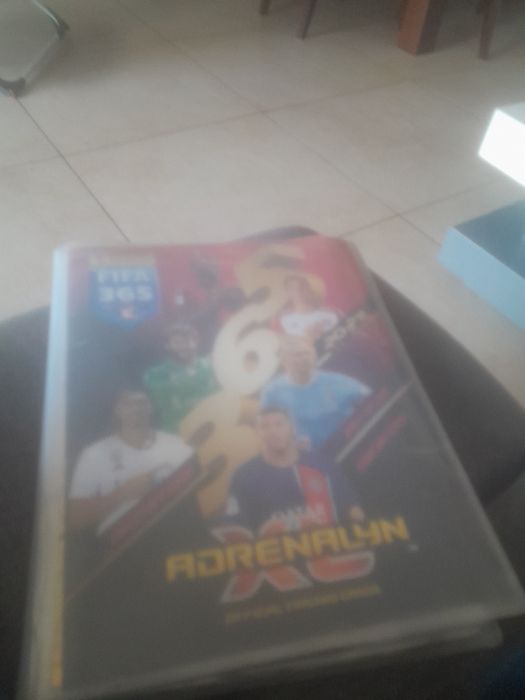 Sprzedam cały album z kartami piłkarskimi z kolekcji 2024