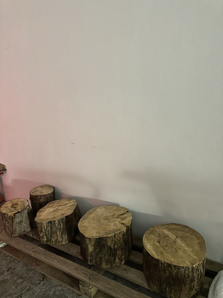 Vendo troncos de Pinheiro