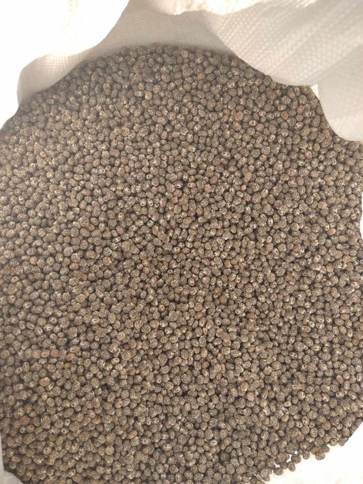 Sprzedam łubin gorzki