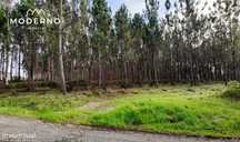 Terreno de Construção – Água Formosa – Ilha