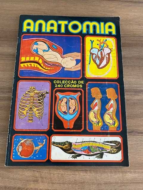 Caderneta de cromos ANATOMIA - (faltam 2 cromos) .